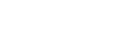 Gemini Ink